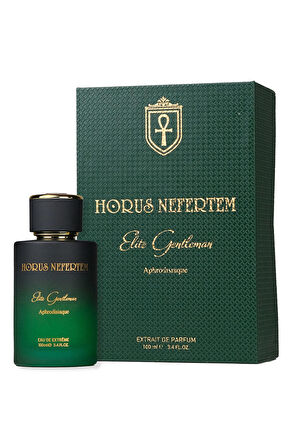 Elite Gentleman EDP 100 Ml Erkek Parfüm