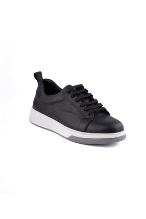 Dexter HS010-1