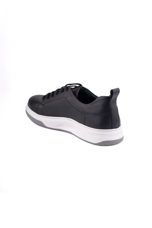 Dexter HS010-1