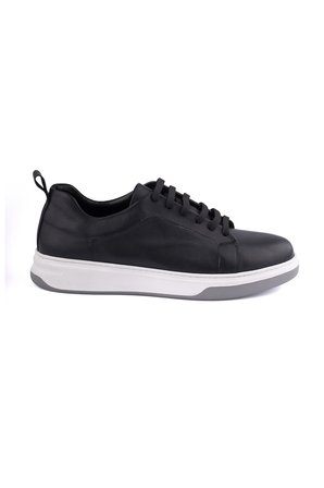 Dexter HS010-1