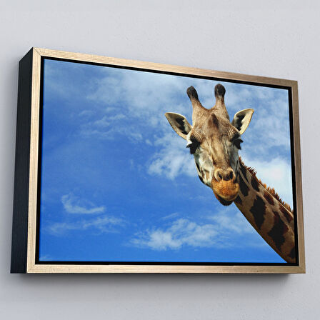 Kahverengi Çerçeveli Zürafa Dekoratif Kanvas Tablo