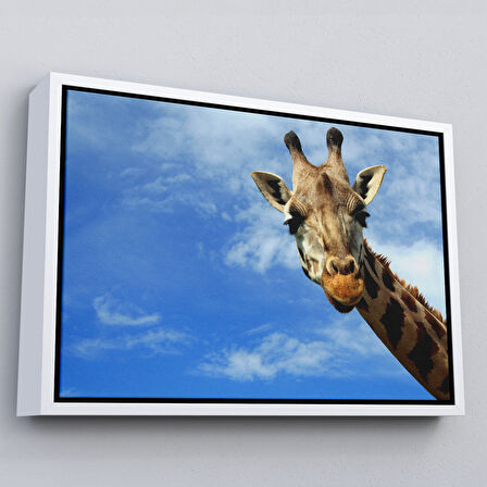 Kahverengi Çerçeveli Zürafa Dekoratif Kanvas Tablo