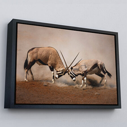 Kahverengi Çerçeveli Antilob Dekoratif Kanvas Tablo