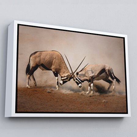 Kahverengi Çerçeveli Antilob Dekoratif Kanvas Tablo