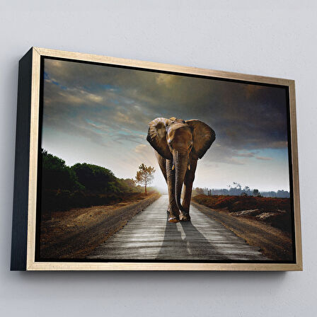 Kahverengi Çerçeveli Fil Dekoratif Kanvas Tablo