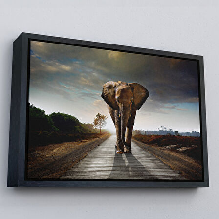 Kahverengi Çerçeveli Fil Dekoratif Kanvas Tablo