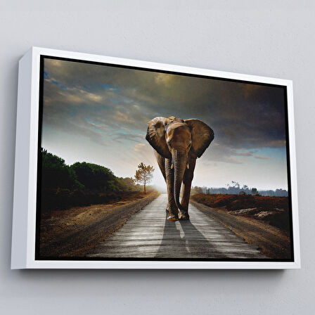 Kahverengi Çerçeveli Fil Dekoratif Kanvas Tablo
