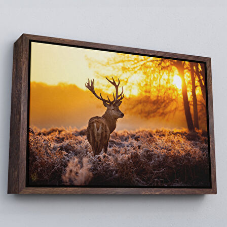 Kahverengi Çerçeveli Geyik Gün Batımı Dekoratif Kanvas Tablo