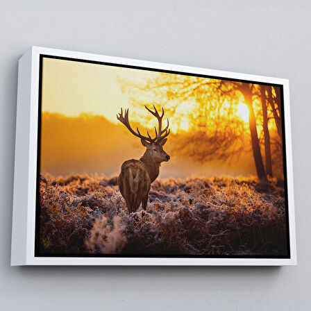 Siyah Çerçeveli Geyik Gün Batımı Dekoratif Kanvas Tablo