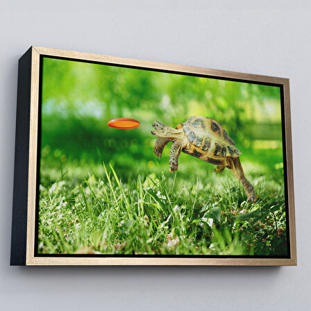 Kahverengi Çerçeveli Uçan Kaplunbağa Dekoratif Kanvas Tablo