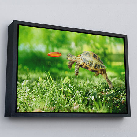 Kahverengi Çerçeveli Uçan Kaplunbağa Dekoratif Kanvas Tablo