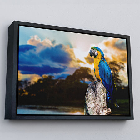 Altın Çerçeveli Papağan Dekoratif Kanvas Tablo