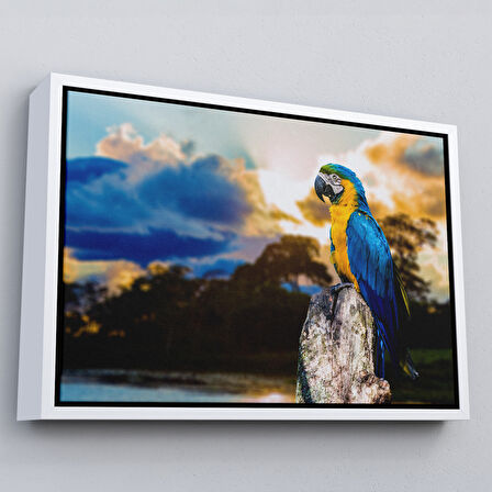 Altın Çerçeveli Papağan Dekoratif Kanvas Tablo