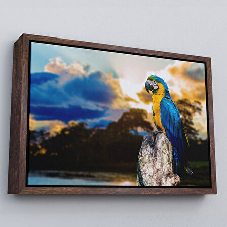 Altın Çerçeveli Papağan Dekoratif Kanvas Tablo