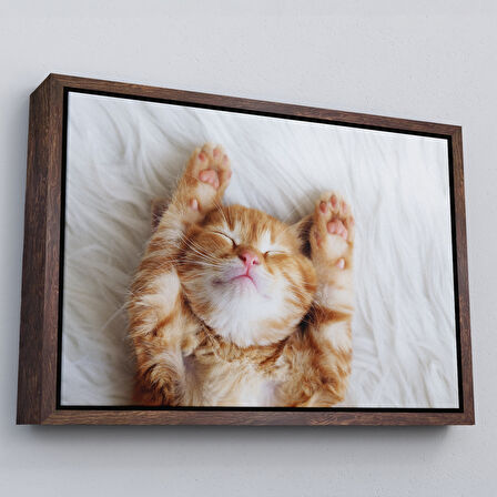 Altın Çerçeveli Yavru Kedi Dekoratif Kanvas Tablo