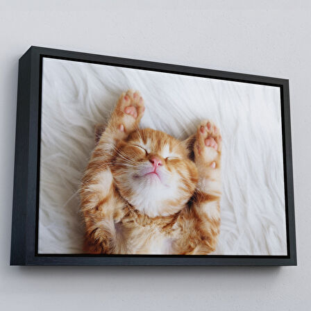 Kahverengi Çerçeveli Yavru Kedi Dekoratif Kanvas Tablo