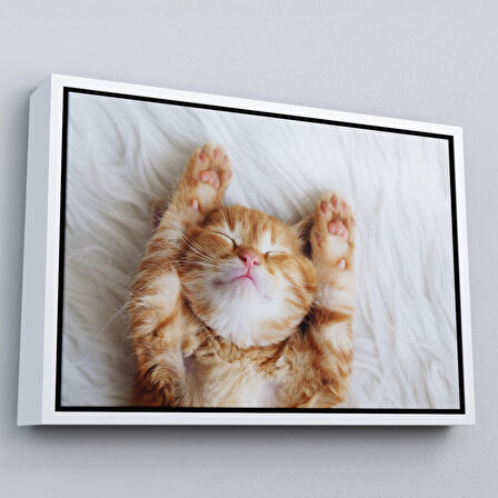 Siyah Çerçeveli Yavru Kedi Dekoratif Kanvas Tablo