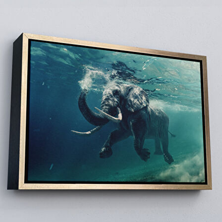 Kahverengi Çerçeveli Yüzen Fil Dekoratif Kanvas Tablo