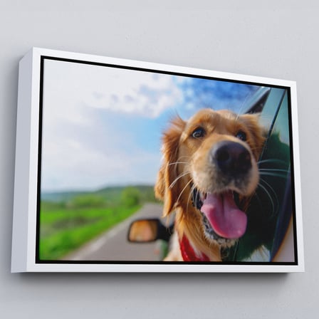 Kahverengi Çerçeveli Köpek Dekoratif Kanvas Tablo