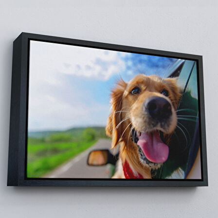 Siyah Çerçeveli Köpek Dekoratif Kanvas Tablo
