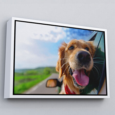 Siyah Çerçeveli Köpek Dekoratif Kanvas Tablo