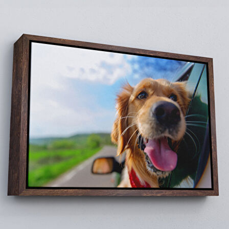 Siyah Çerçeveli Köpek Dekoratif Kanvas Tablo