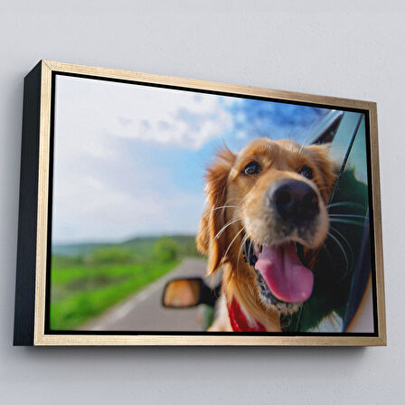 Siyah Çerçeveli Köpek Dekoratif Kanvas Tablo