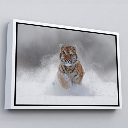 Beyaz Çerçeveli Karda Koşan Yavru Kaplan Dekoratif Kanvas Tablo