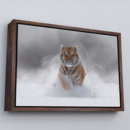 Beyaz Çerçeveli Karda Koşan Yavru Kaplan Dekoratif Kanvas Tablo