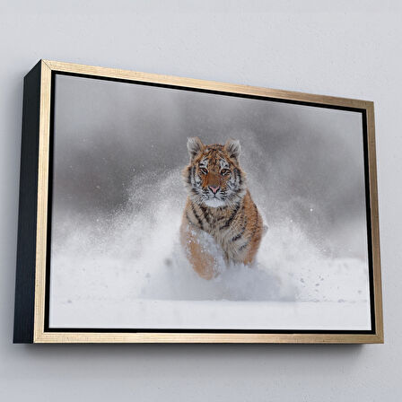 Beyaz Çerçeveli Karda Koşan Yavru Kaplan Dekoratif Kanvas Tablo