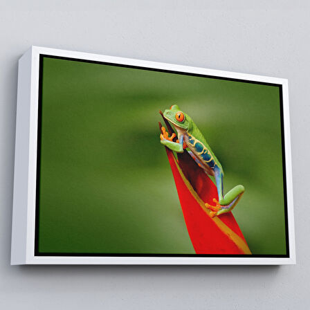 Altın Çerçeveli Renkli Kurbağa Dekoratif Kanvas Tablo