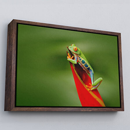 Kahverengi Çerçeveli Renkli Kurbağa Dekoratif Kanvas Tablo
