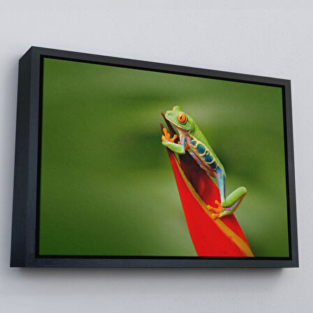Kahverengi Çerçeveli Renkli Kurbağa Dekoratif Kanvas Tablo