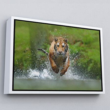 Altın Çerçeveli Koşan Kaplan Dekoratif Kanvas Tablo