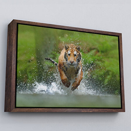 Altın Çerçeveli Koşan Kaplan Dekoratif Kanvas Tablo