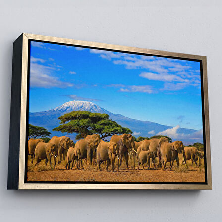 Kahverengi Çerçeveli Fil Sürüsü Dekoratif Kanvas Tablo