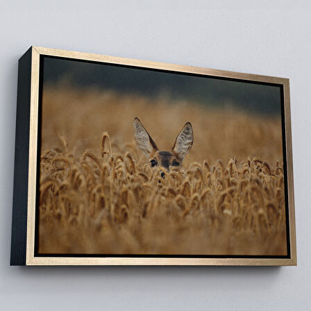 Altın Çerçeveli Ceylan Dekoratif Kanvas Tablo