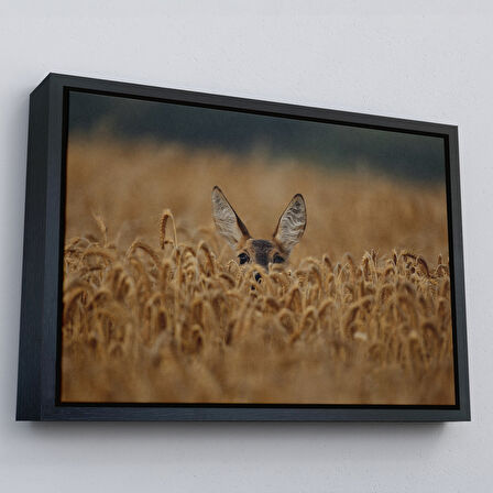 Altın Çerçeveli Ceylan Dekoratif Kanvas Tablo