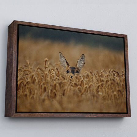 Altın Çerçeveli Ceylan Dekoratif Kanvas Tablo