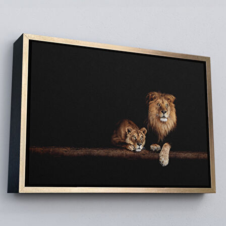 Beyaz Çerçeveli Aslanlar Dekoratif Kanvas Tablo
