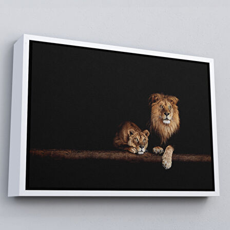 Siyah Çerçeveli Aslanlar Dekoratif Kanvas Tablo