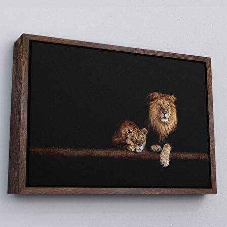Siyah Çerçeveli Aslanlar Dekoratif Kanvas Tablo
