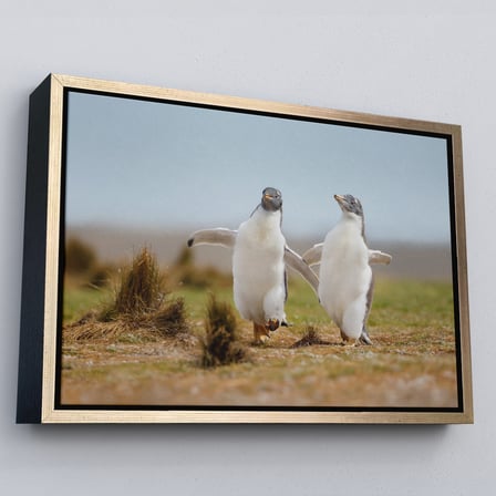 Kahverengi Çerçeveli Mutlu Yavru Penguenler Dekoratif Kanvas Tablo