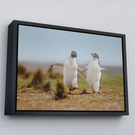 Kahverengi Çerçeveli Mutlu Yavru Penguenler Dekoratif Kanvas Tablo