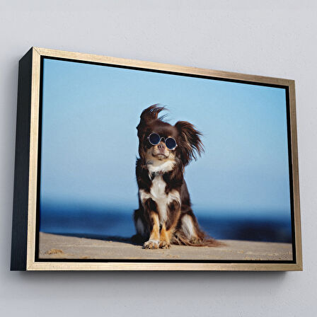 Altın Çerçeveli Küçük Köpek Dekoratif Kanvas Tablo