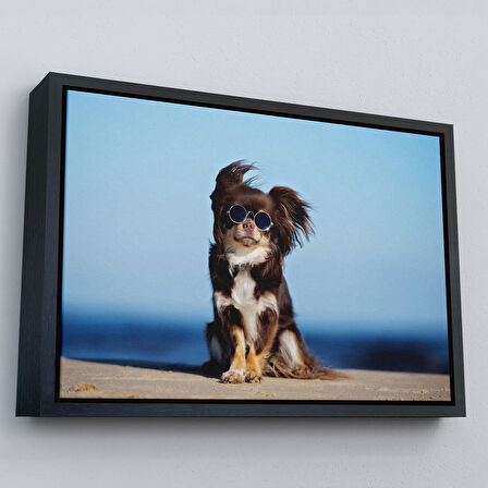 Altın Çerçeveli Küçük Köpek Dekoratif Kanvas Tablo