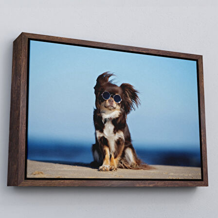 Siyah Çerçeveli Küçük Köpek Dekoratif Kanvas Tablo