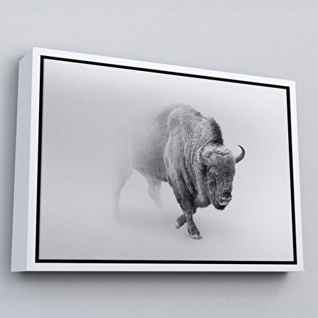 Beyaz Çerçeveli Bizon Dekoratif Kanvas Tablo