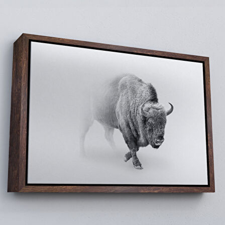 Beyaz Çerçeveli Bizon Dekoratif Kanvas Tablo
