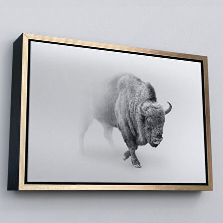 Beyaz Çerçeveli Bizon Dekoratif Kanvas Tablo